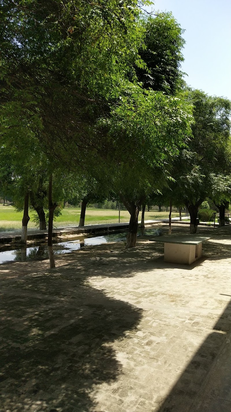 DPS College Okara (Boys Wing) in Okara, Punjab