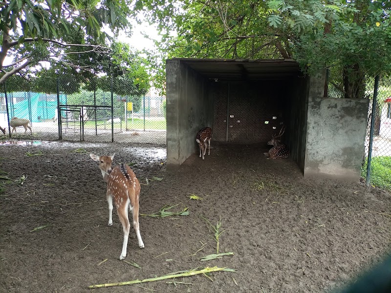 SafariPark in Lahore, Punjab