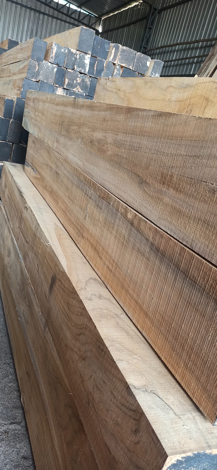 LN Timbers || Best Quality Wood And Plywood in Surat, GJ