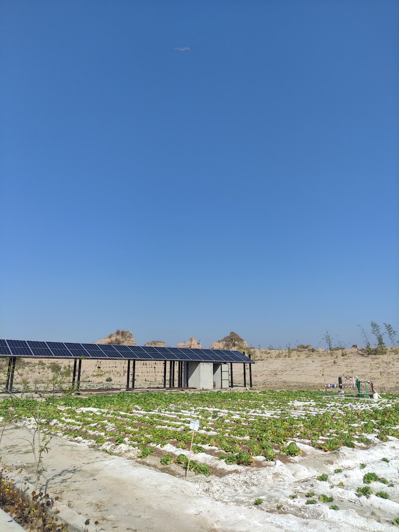 Chakwal Canyons in Thoa Bahdar, Punjab