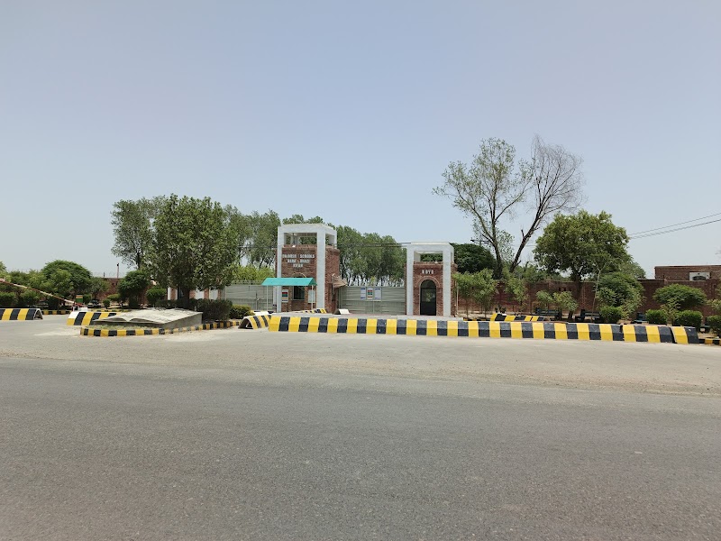 Punjab Danish Schools, Dera Ghazi Khan in Dera Ghazi Khan, Punjab