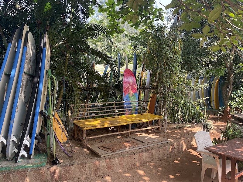 Surf Wala in Arambol, GA