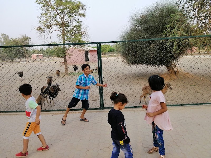 Wildlife Park Pirowal in Peerowal, Punjab