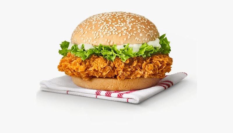 Pak Fri Chicks in Lahore, Punjab