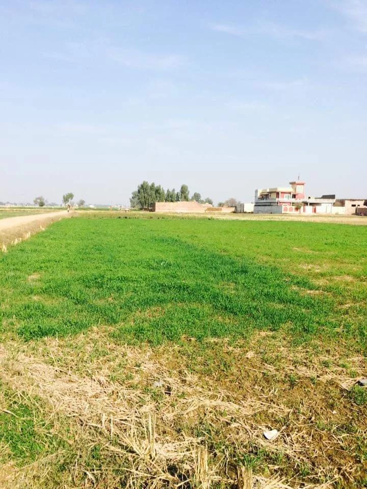 Bharthanwala in Cannal View, Sialkot