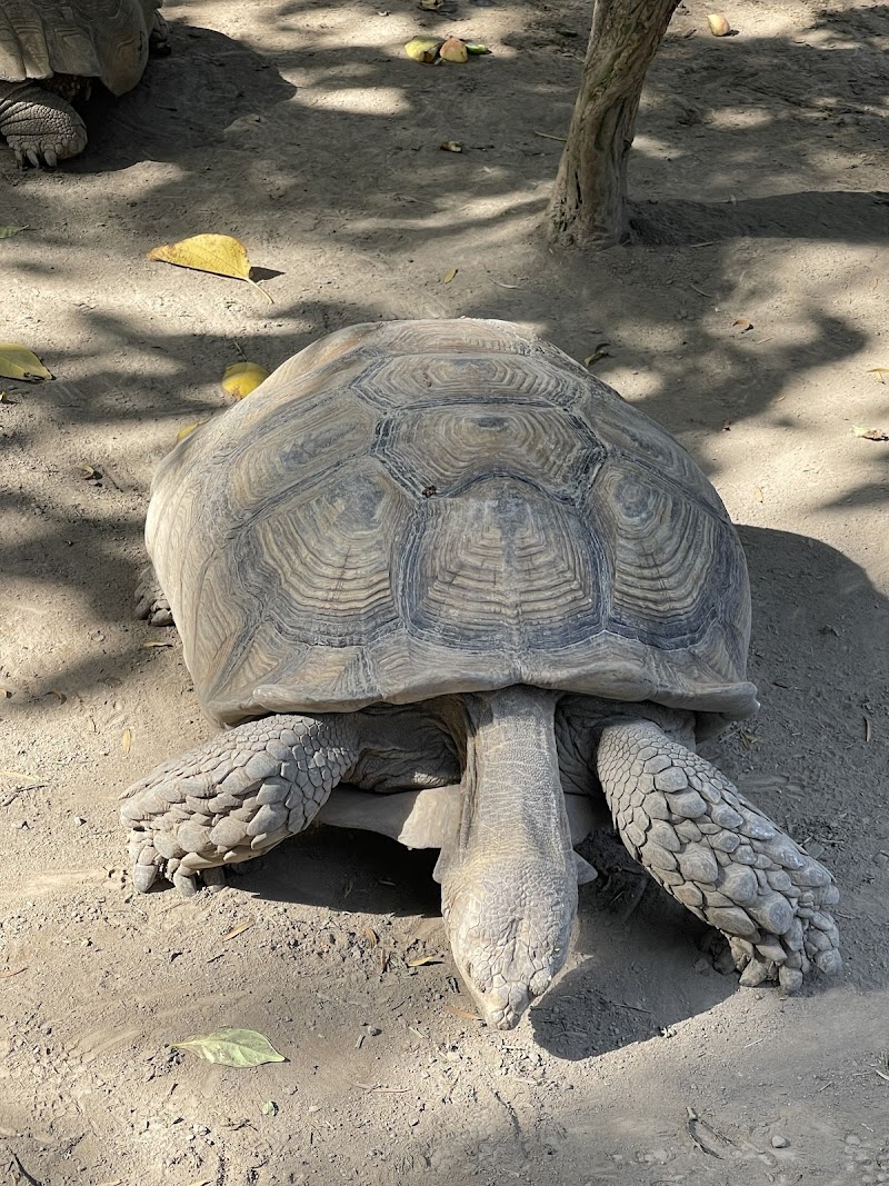 Lahore Zoo in Lahore, Punjab