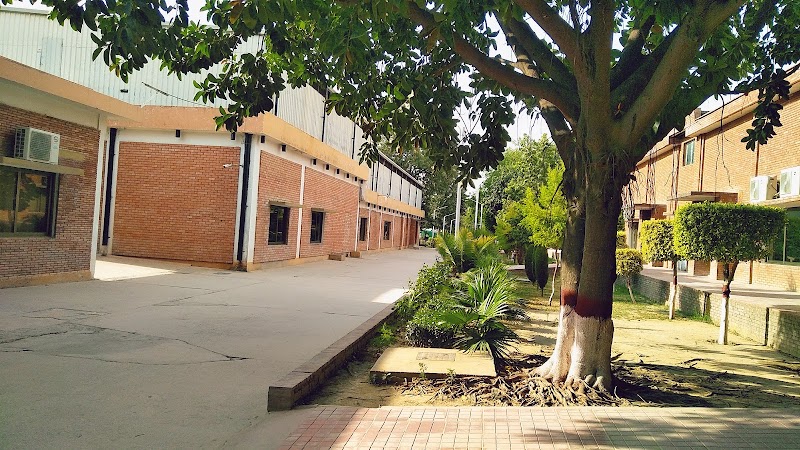 COMSATS University Islamabad, Wah Campus in Wah Cantt, Punjab