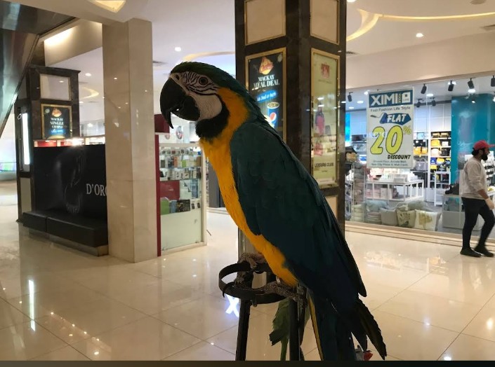 New City Arcade in واہ, پنجاب