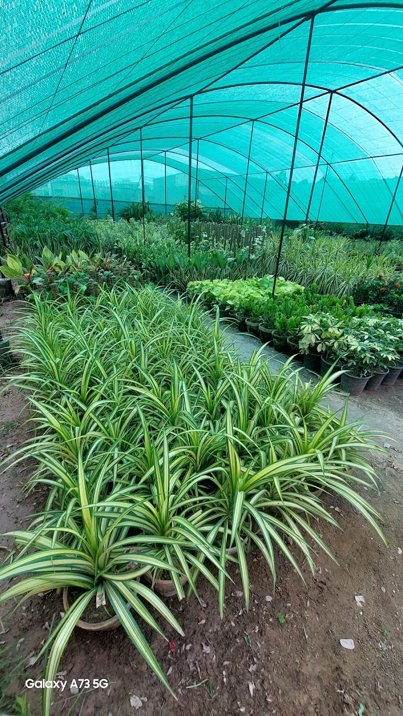 Ajmal Garden Nursery Sialkot in Sialkot, Punjab