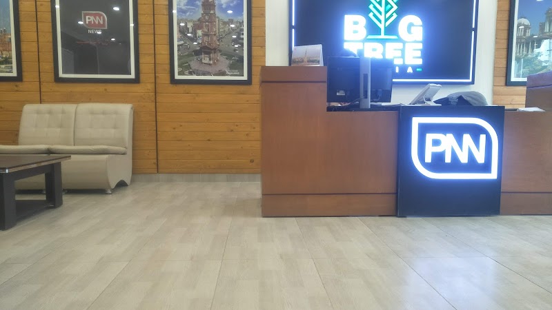 PNN in Lahore, Punjab