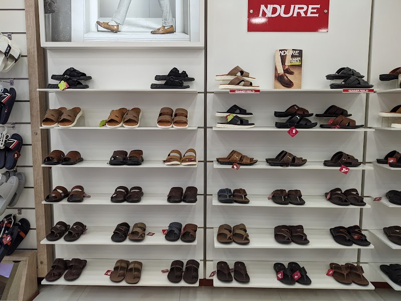 Fri Chicks in Jhang, Punjab