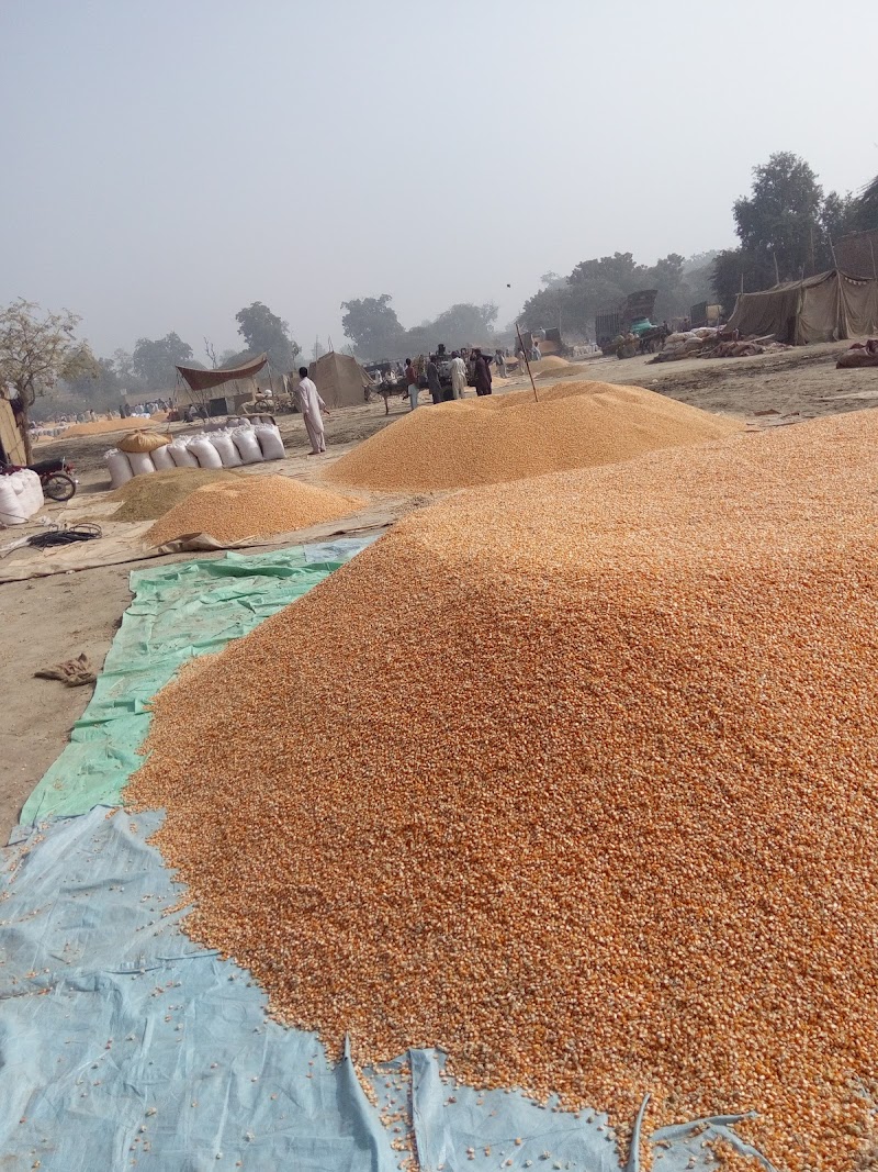 Ghallah Mandi in Pākpattan, Punjab