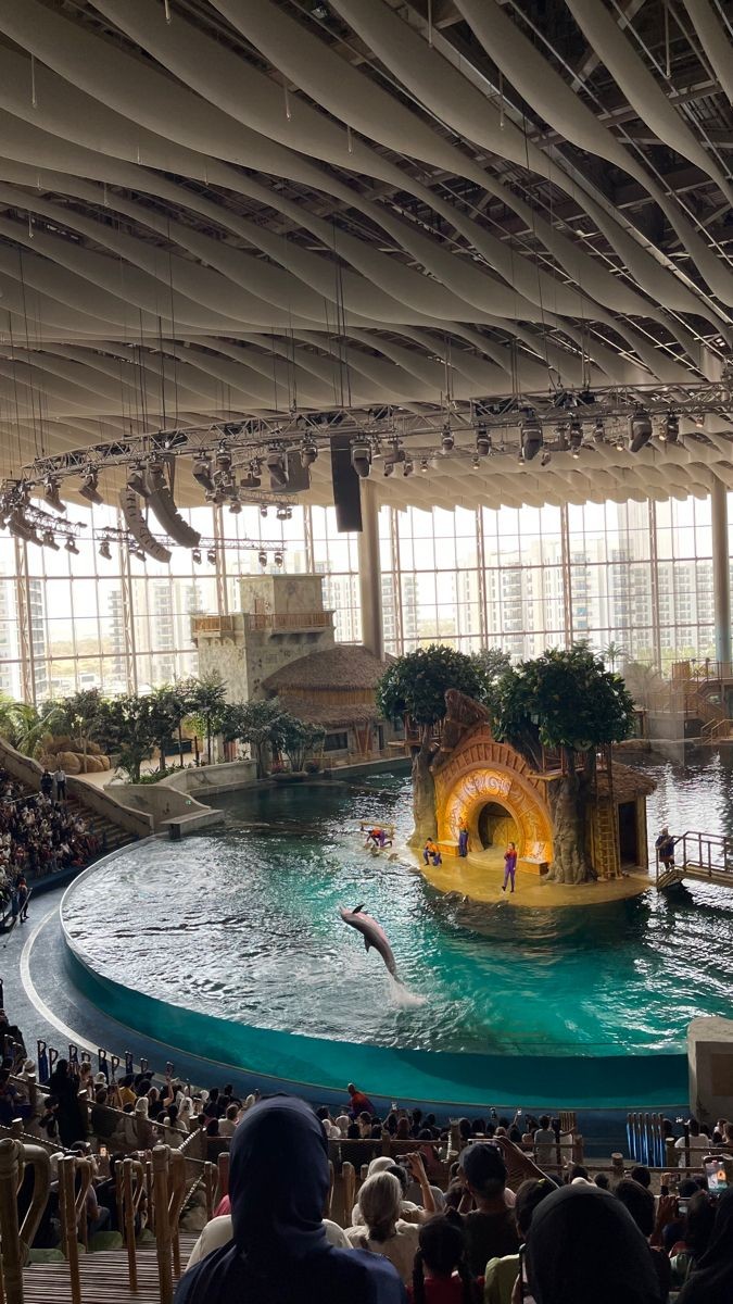 Sea World ( Aquarium & Fish Shop ) in Sialkot, Punjab