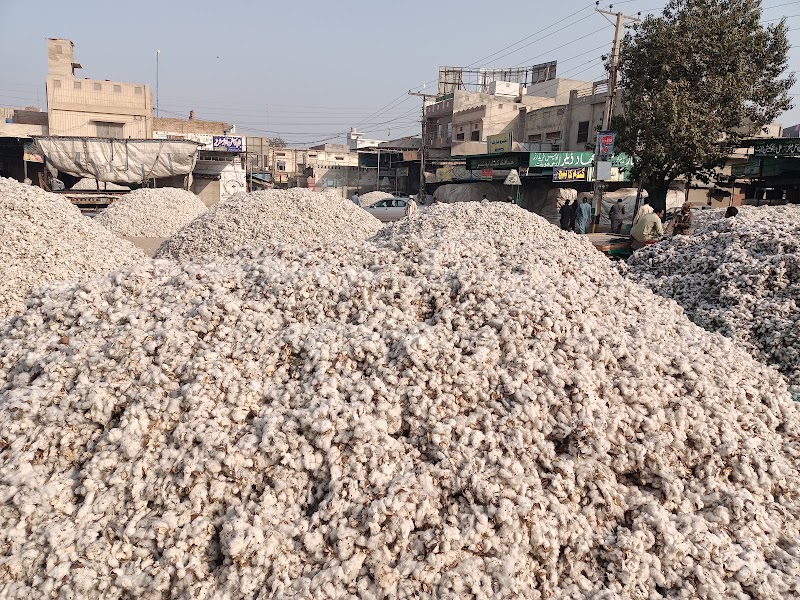 غلہ منڈی Grain Market in Khanewal, Punjab