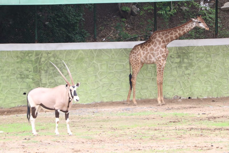 Sardar Patel Zoological Park, Ektanagar in Ektanagar, GJ