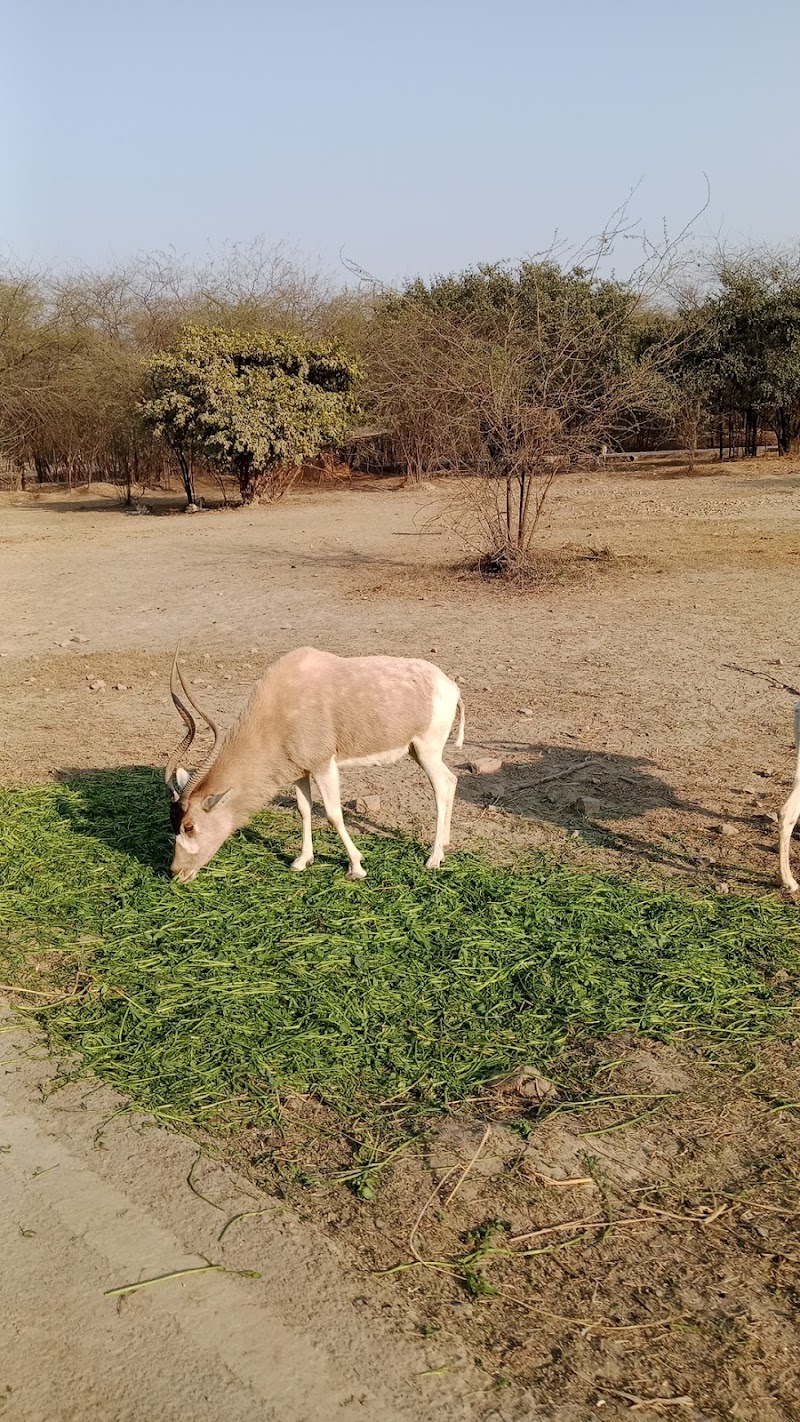 SafariPark in Lahore, Punjab