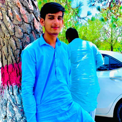Muhammad Mursaleen
