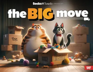Magic Story personalized book "The Big Move" illustration