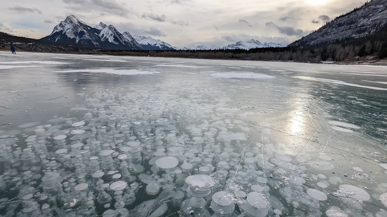 Frozen methane bubbles trapped under clear ice on Abraham Lake, Alberta