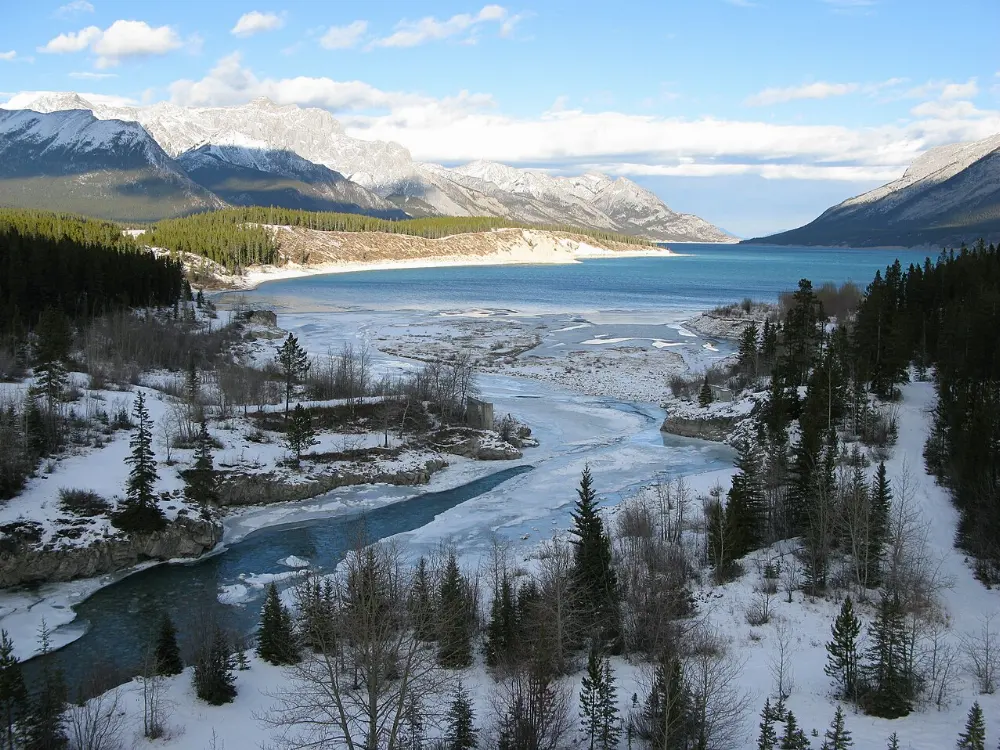 Cline River, Abraham Lake, Alberta