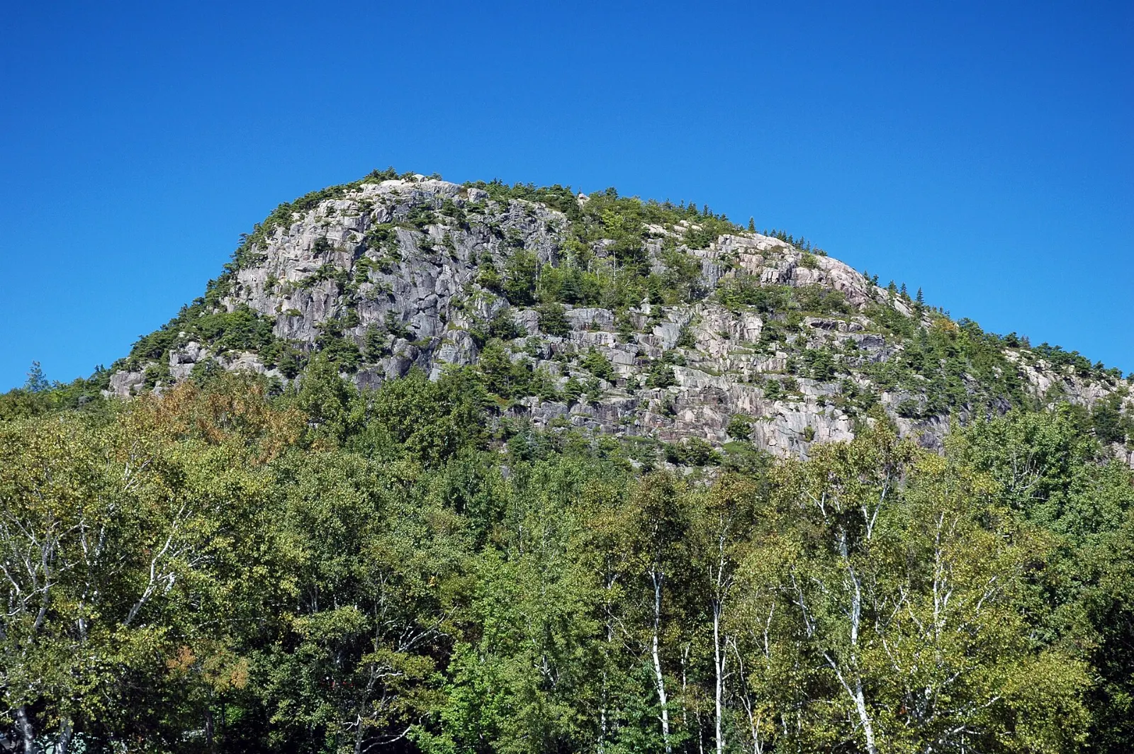 Rounded granite dome of the Beehive rising above the trees near Sand Beach, Acadia National Park, Maine