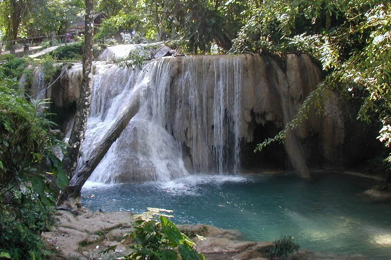 Visitors in a calm turquoise pool at Agua Azul, Agua Azul Cascades, Chiapas