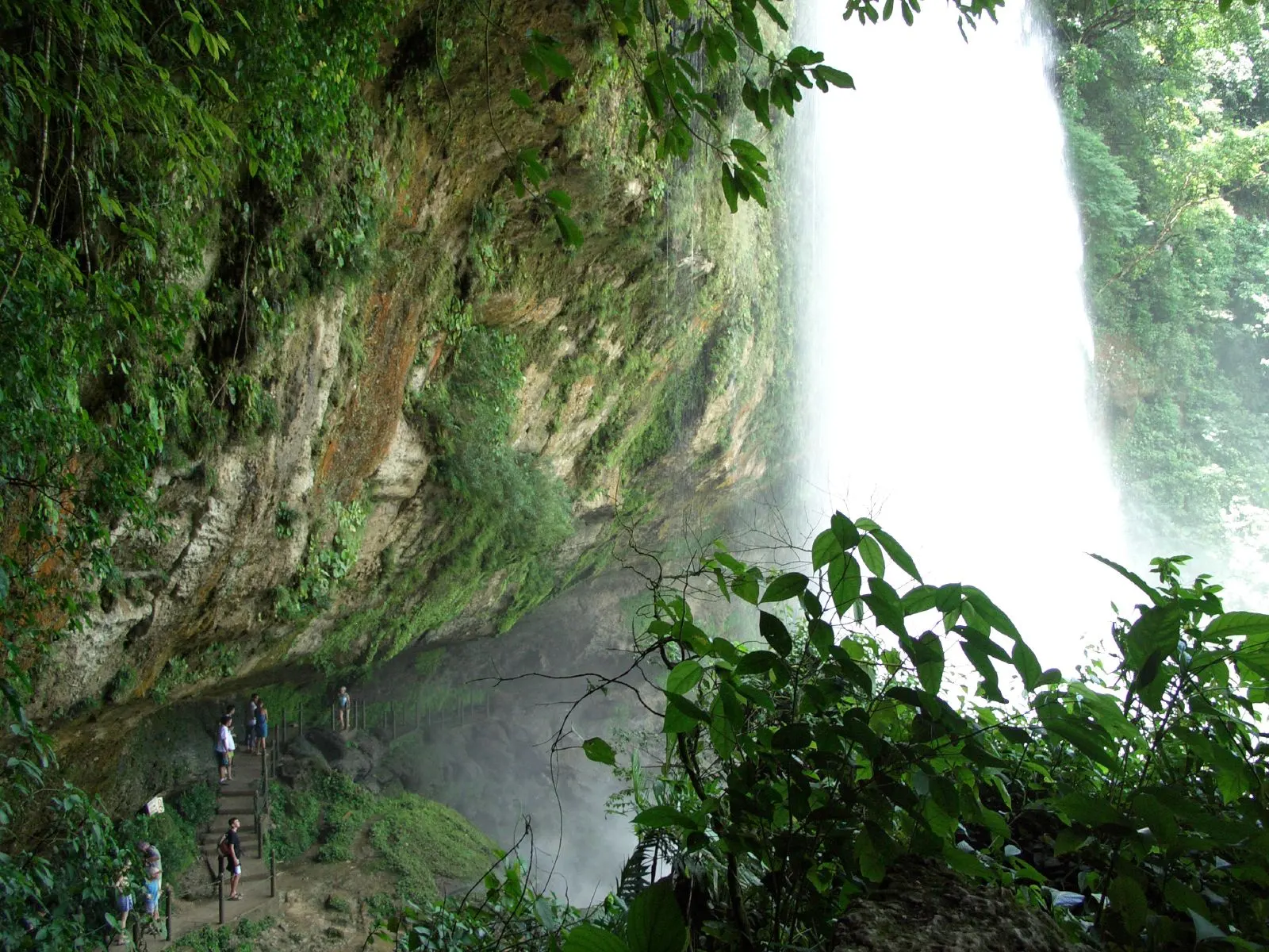 Misol-Ha waterfall dropping into a round jungle pool, Agua Azul Cascades, Chiapas