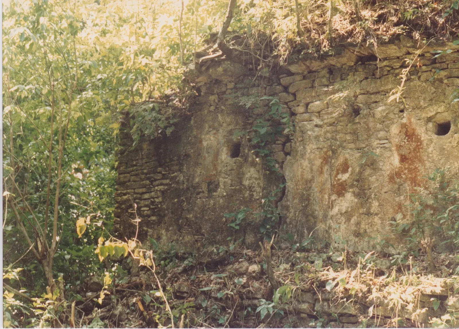 Dense tropical forest around the Palenque ruins, Agua Azul Cascades, Chiapas