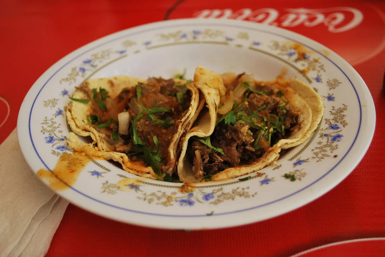 Plate of birria served with broth and tortillas, Ajijic, Jalisco