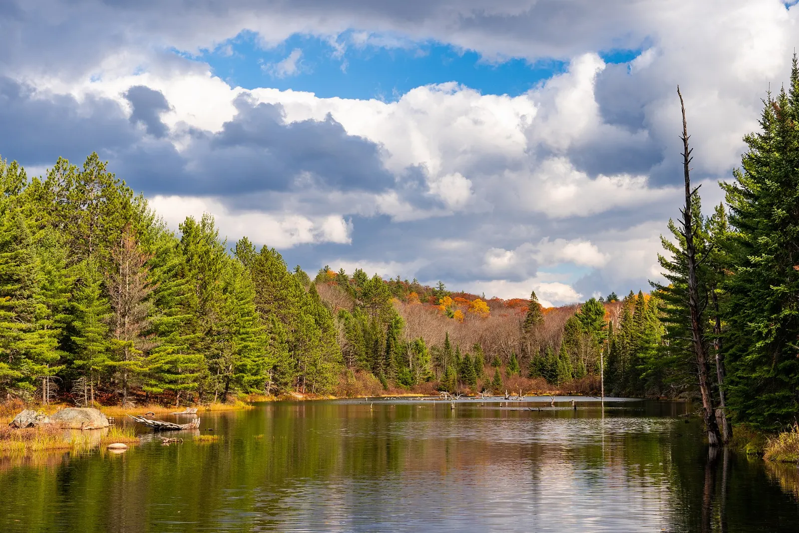 Algonquin Park Ontario Canoe Lake and Highway 60 Trails