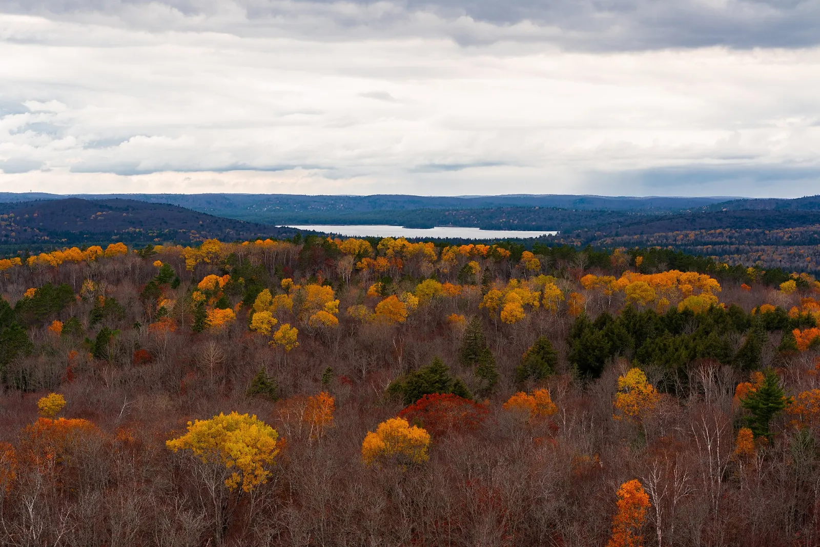 View from a ridge over forest and a lake in Algonquin Park, Algonquin Provincial Park, Ontario