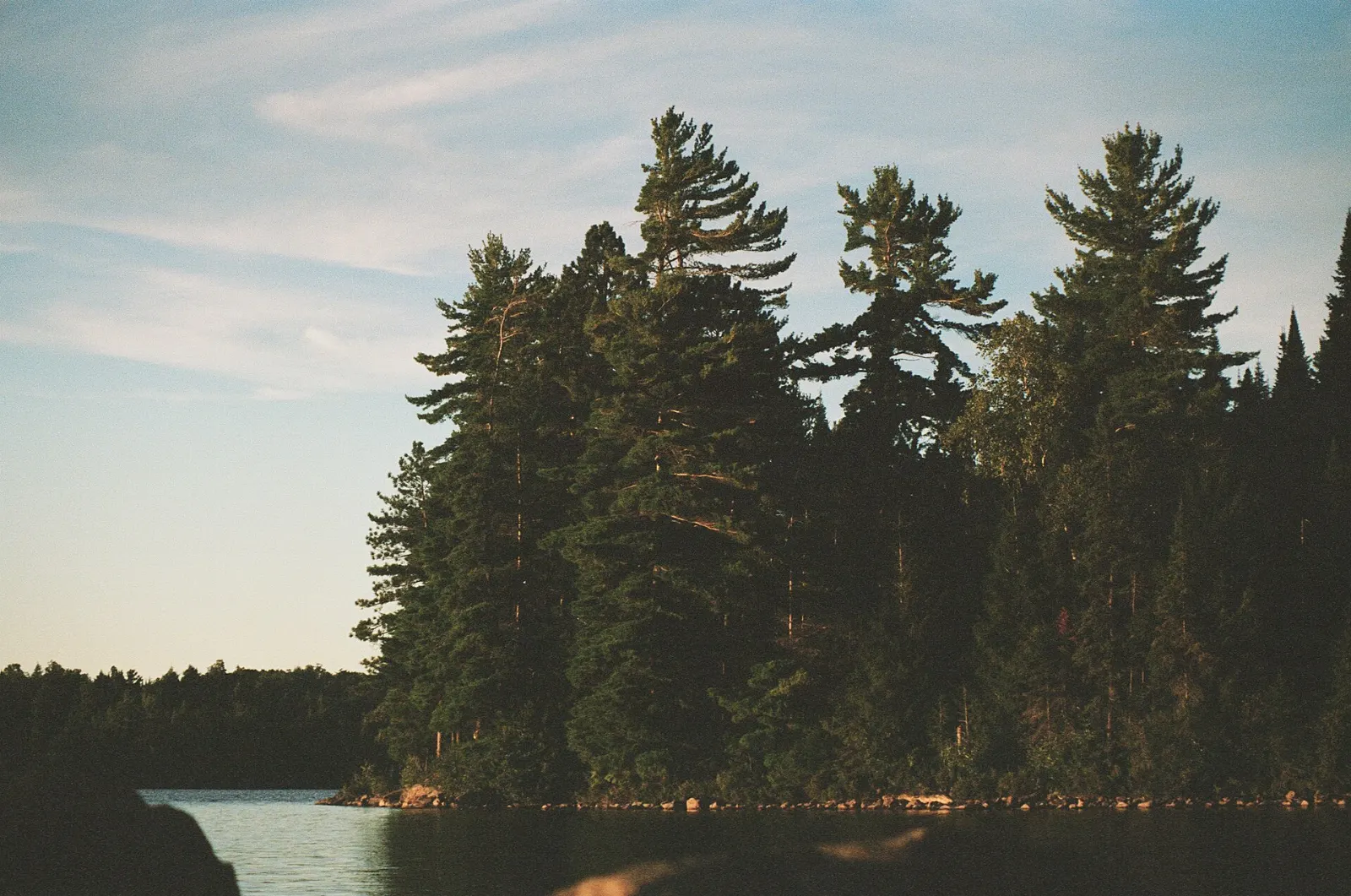 Wide view of Lake Opeongo with rocky shoreline and forest, Algonquin Provincial Park, Ontario
