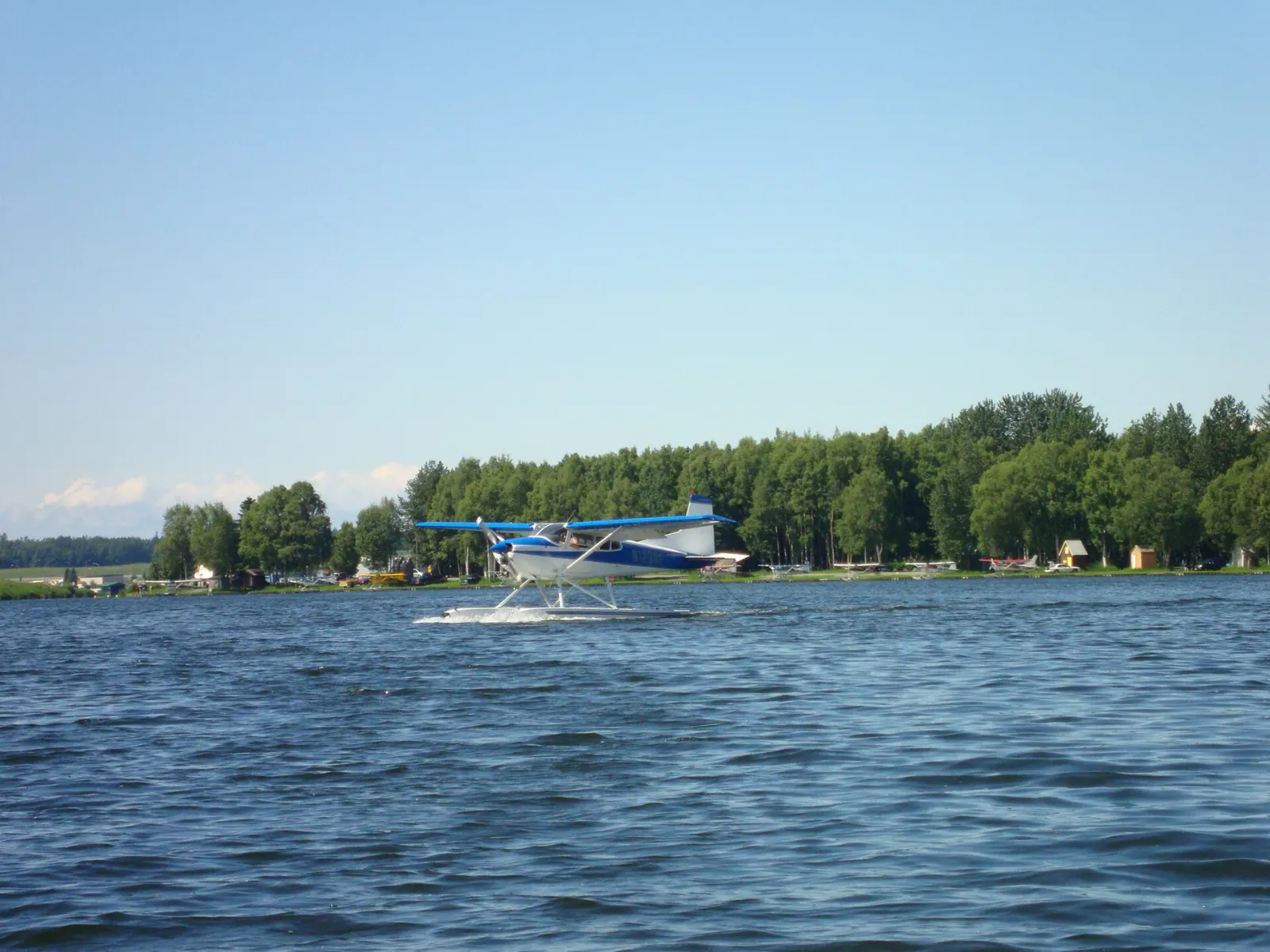 Rows of small floatplanes tied up along the shore of Lake Hood, Anchorage, Alaska
