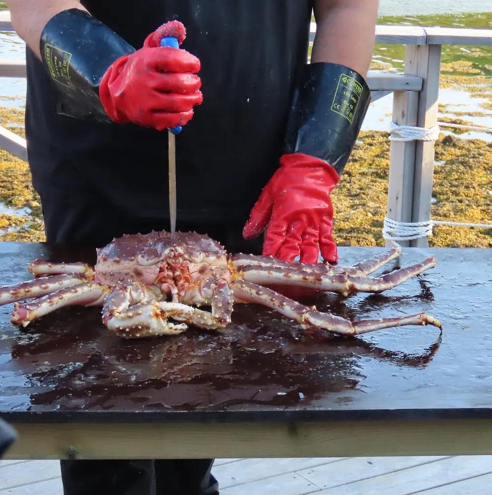 King crab in Anchorage, Alaska