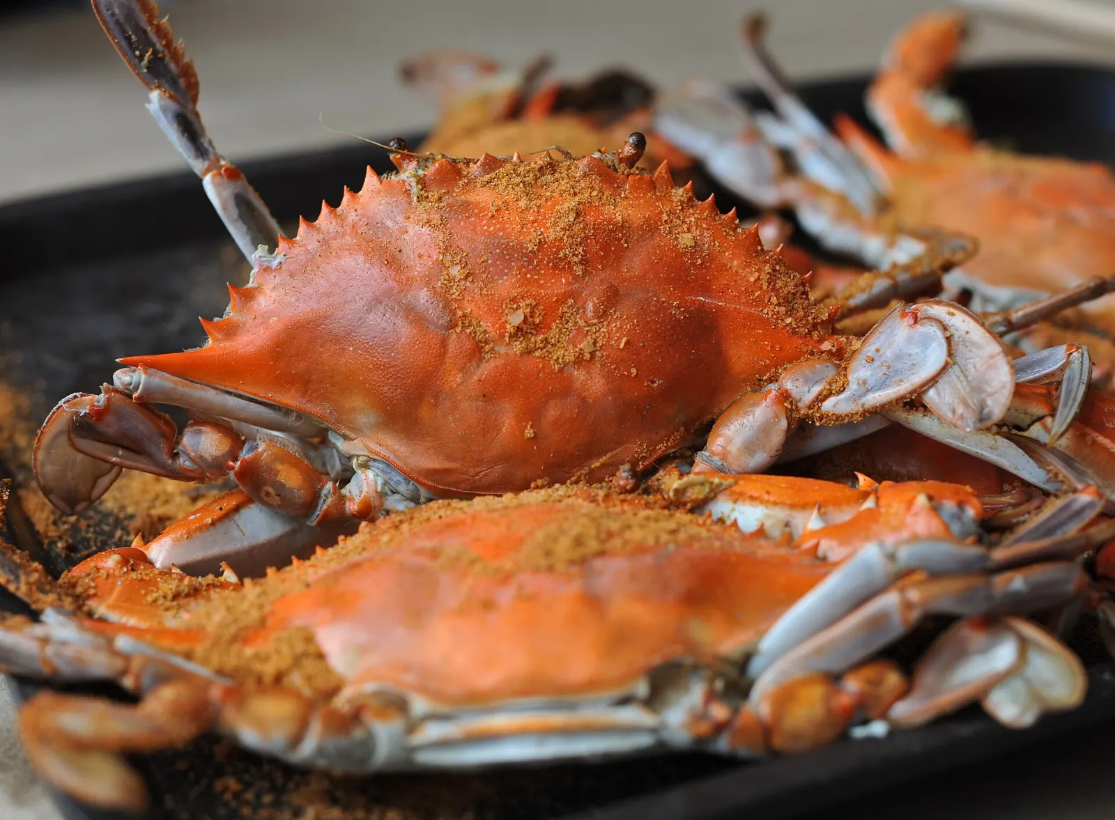 Pile of steamed blue crabs dusted with seasoning on a paper-covered table, Annapolis, Maryland