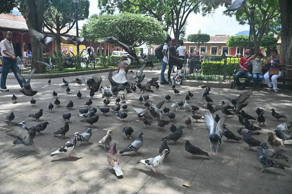 Parque Central, Antigua, Guatemala