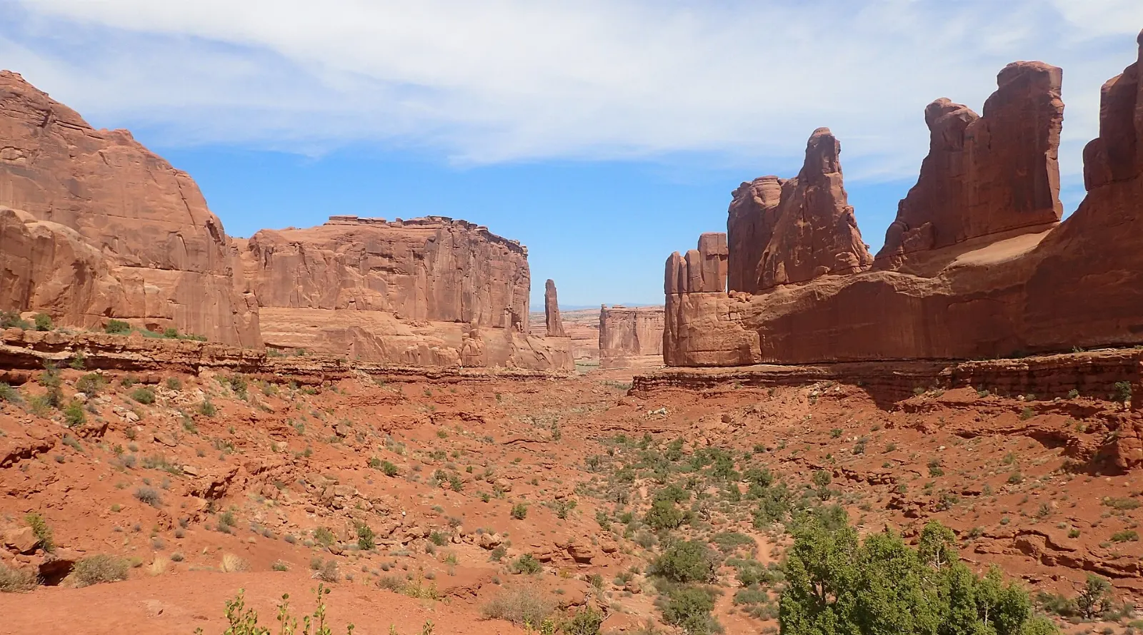 Towering sandstone fins lining both sides of a desert canyon like city skyscrapers, Arches National Park, Utah