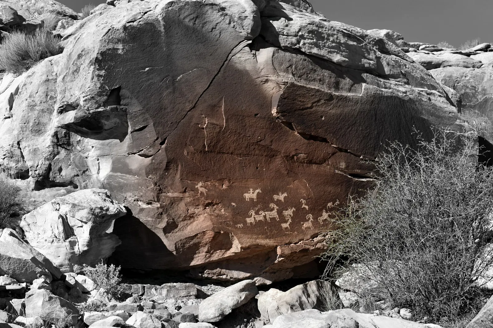 Rock art of horses and bighorn sheep carved into a dark sandstone panel, Arches National Park, Utah