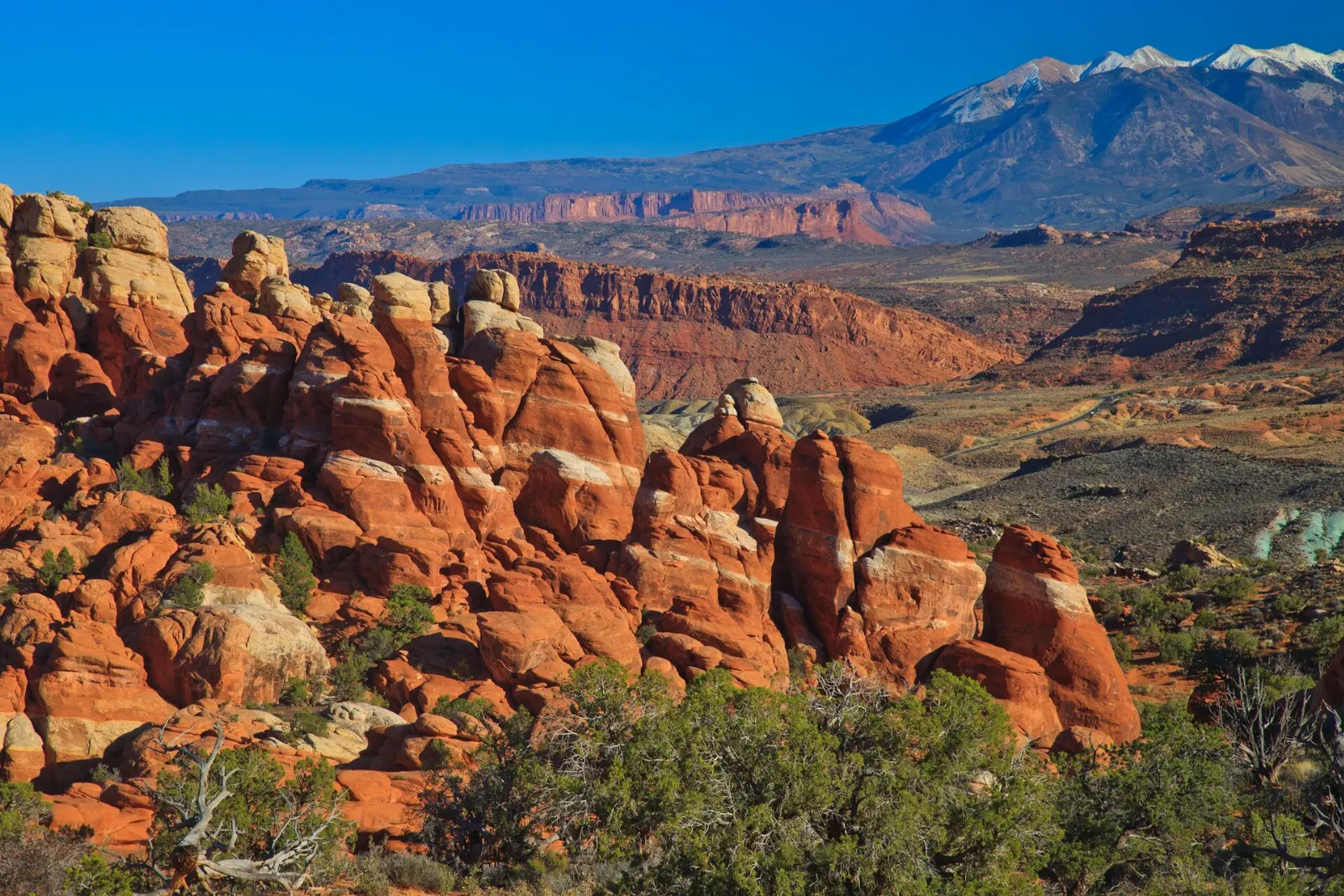 A maze of narrow red sandstone fins glowing in late afternoon light, Arches National Park, Utah