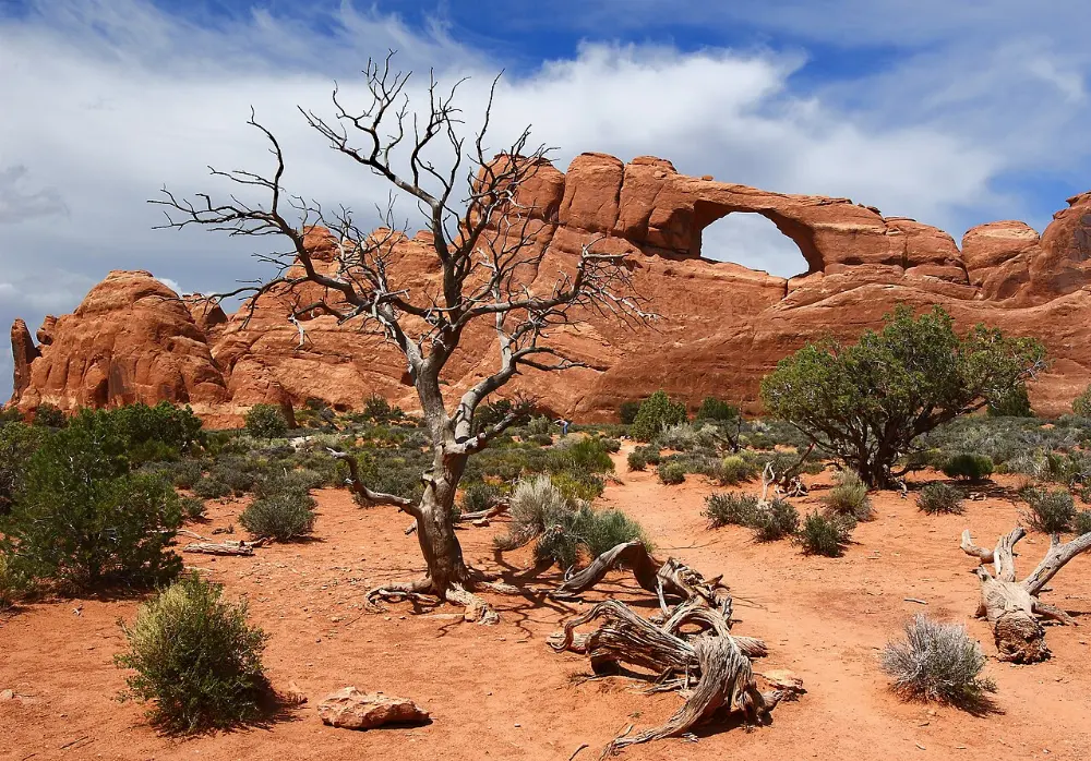 Arches National Park skyline, Arches National Park, Utah