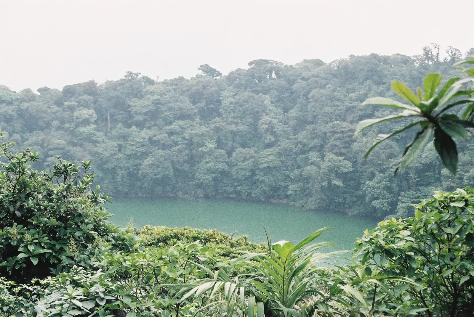A green crater lagoon surrounded by forest at the summit of Cerro Chato, Arenal, Costa Rica