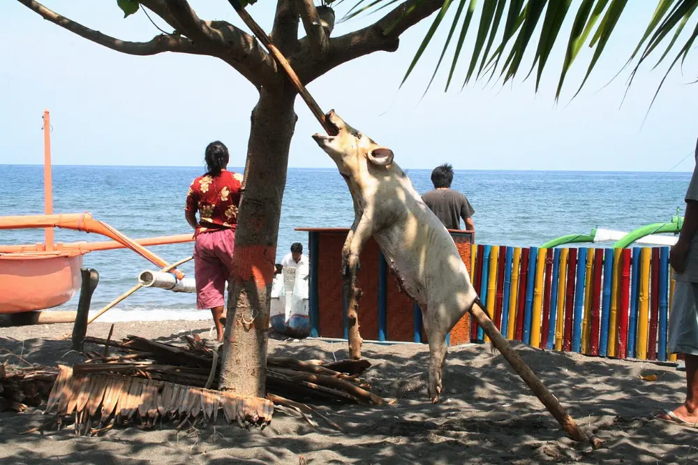 Babi guling in Bali, Indonesia
