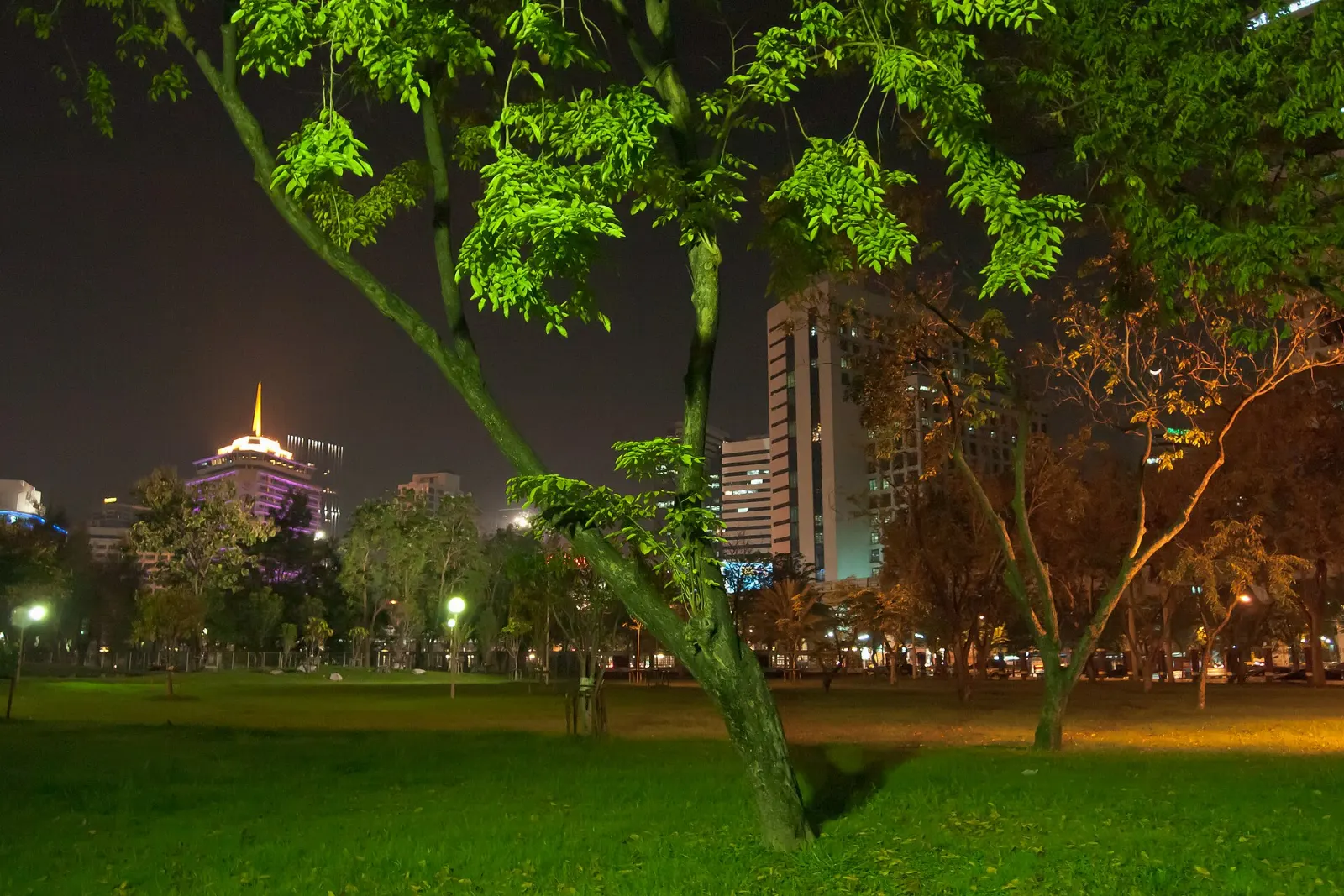 The lake in Lumphini Park with the Bangkok skyline behind it, Thailand