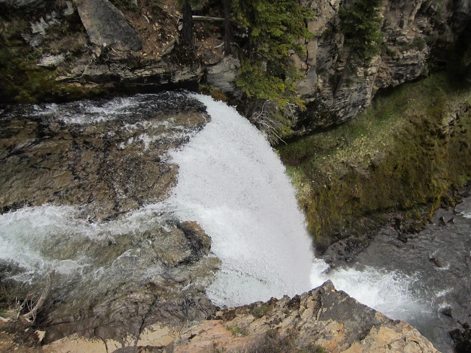 Tumalo Falls plunging over a basalt ledge into a forested canyon, Bend, Oregon
