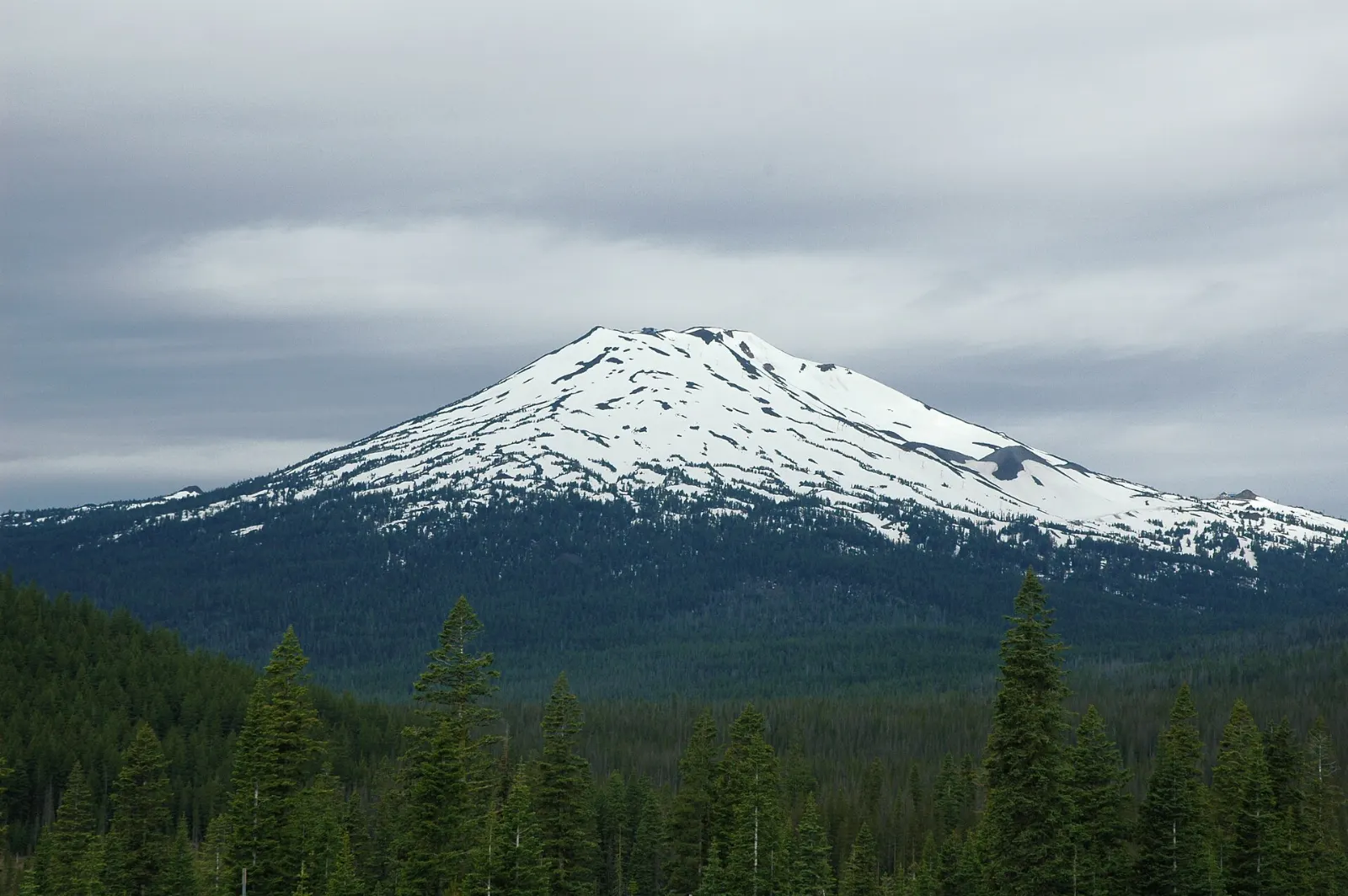 Snow-covered Mount Bachelor rising above pine forest, Bend, Oregon