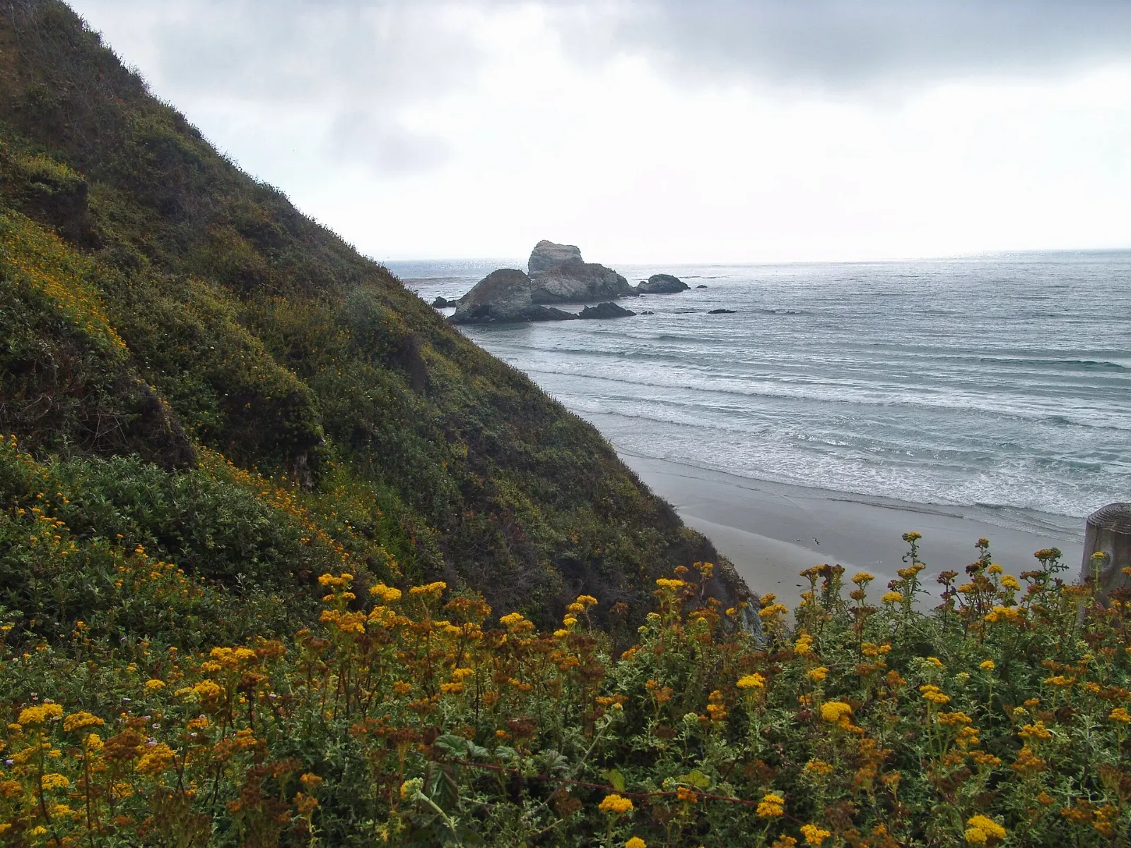 Sand Dollar Beach, Big Sur, California, United States