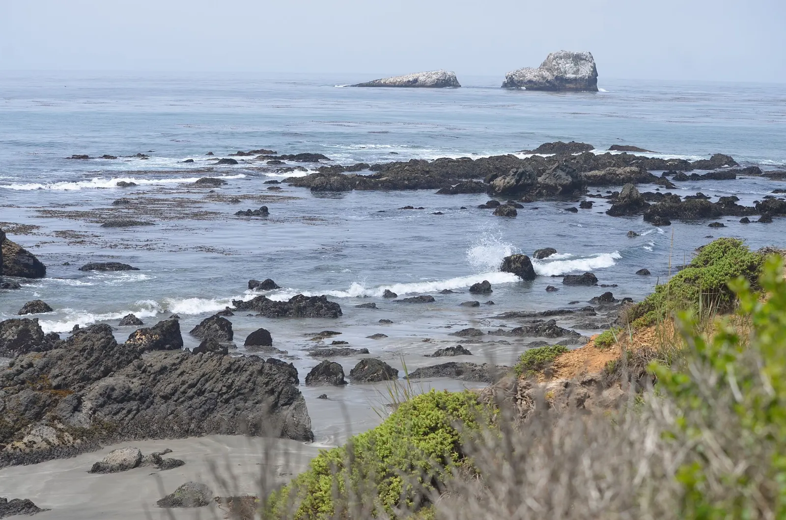 Piedras Blancas elephant seal rookery, Big Sur, California, United States