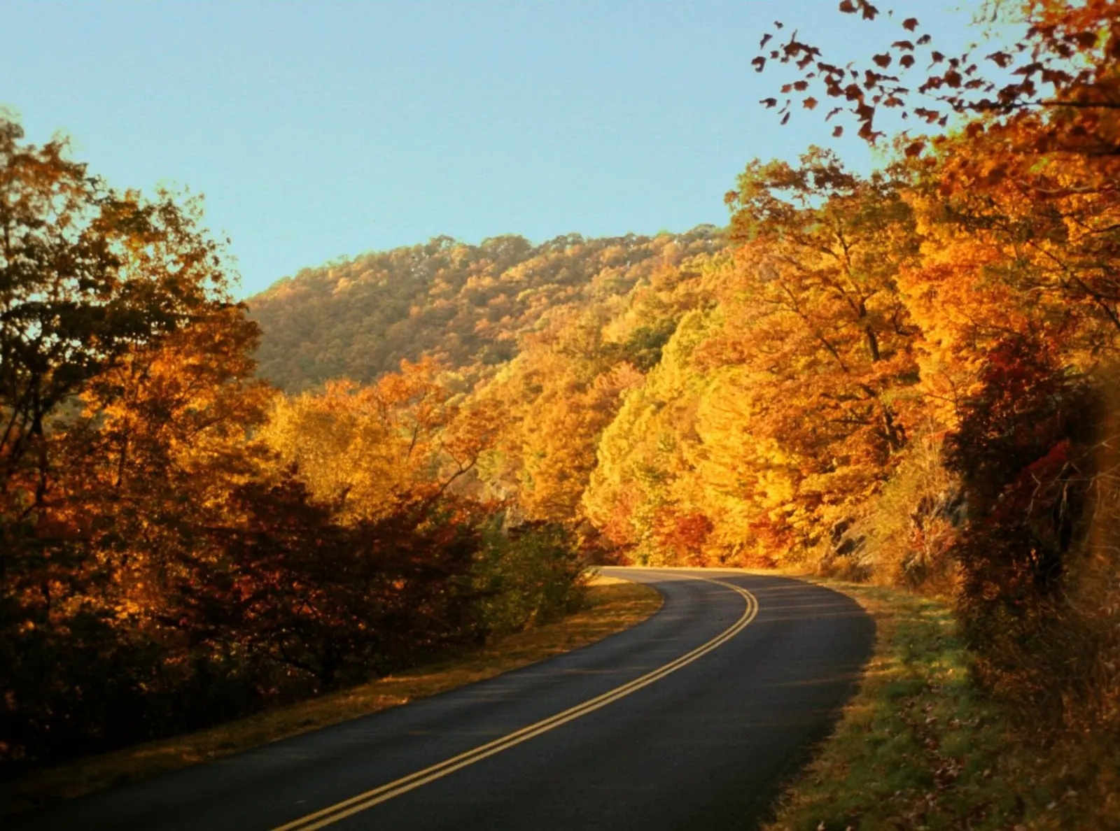 Autumn foliage in red and gold covering mountain slopes along the Blue Ridge Parkway, Boone and Blowing Rock, North Carolina