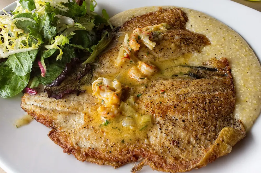 Mountain trout in Boone and Blowing Rock, North Carolina