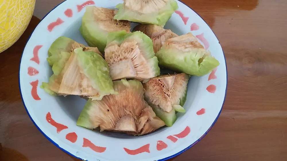 Breadfruit in Bora Bora, French Polynesia
